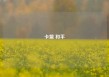 卡盟 和平