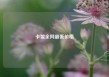 卡盟全网最低价格