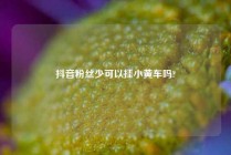 抖音粉丝少可以挂小黄车吗?