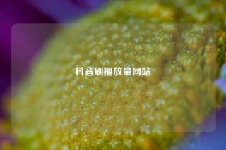 抖音刷播放量网站