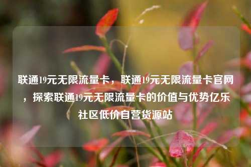 联通19元无限流量卡，联通19元无限流量卡官网，探索联通19元无限流量卡的价值与优势亿乐社区低价自营货源站  第1张