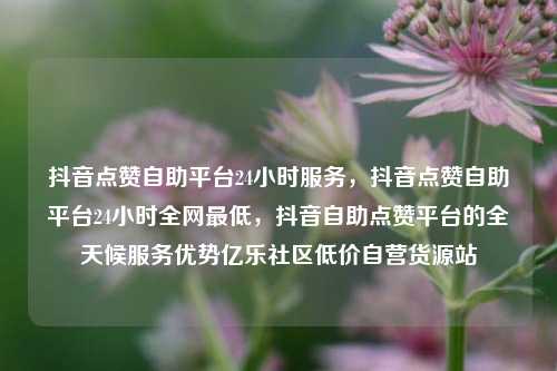 抖音点赞自助平台24小时服务，抖音点赞自助平台24小时全网最低，抖音自助点赞平台的全天候服务优势亿乐社区低价自营货源站  第1张
