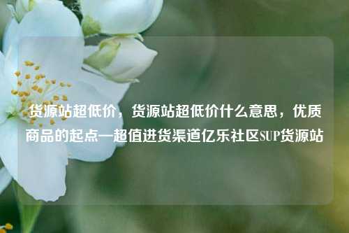 货源站超低价，货源站超低价什么意思，优质商品的起点—超值进货渠道亿乐社区SUP货源站  第1张