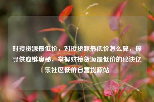 对接货源最低价，对接货源最低价怎么算，探寻供应链奥秘，掌握对接货源最低价的秘诀亿乐社区低价自营货源站  第1张