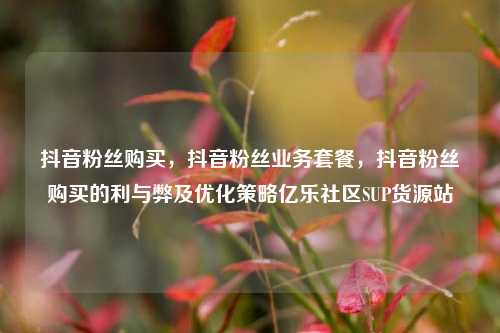 抖音粉丝购买，抖音粉丝业务套餐，抖音粉丝购买的利与弊及优化策略亿乐社区SUP货源站  第1张