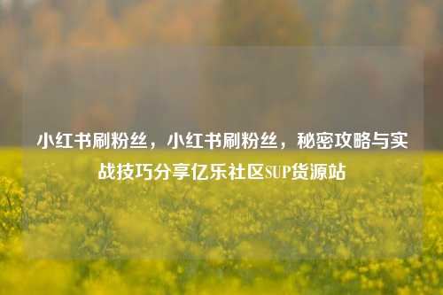 小红书刷粉丝，小红书刷粉丝，秘密攻略与实战技巧分享亿乐社区SUP货源站  第1张