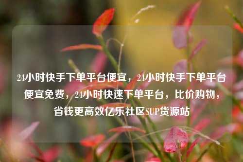 24小时快手下单平台便宜	，24小时快手下单平台便宜免费，24小时快速下单平台，比价购物	，省钱更高效亿乐社区SUP货源站  第1张