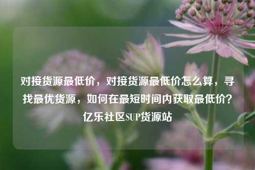 对接货源最低价，对接货源最低价怎么算，寻找最优货源	，如何在最短时间内获取最低价？亿乐社区SUP货源站  第1张