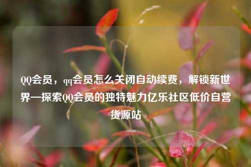 QQ会员，qq会员怎么关闭自动续费	，解锁新世界—探索QQ会员的独特魅力亿乐社区低价自营货源站  第1张