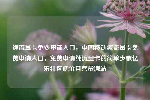 纯流量卡免费申请入口，中国移动纯流量卡免费申请入口	，免费申请纯流量卡的简单步骤亿乐社区低价自营货源站  第1张