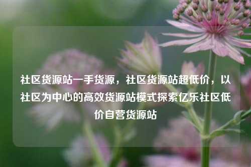 社区货源站一手货源	，社区货源站超低价，以社区为中心的高效货源站模式探索亿乐社区低价自营货源站  第1张