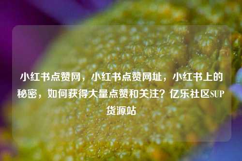 小红书点赞网，小红书点赞网址	，小红书上的秘密，如何获得大量点赞和关注？亿乐社区SUP货源站  第1张