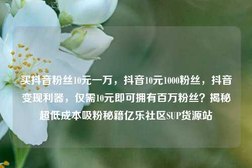 买抖音粉丝10元一万，抖音10元1000粉丝	，抖音变现利器，仅需10元即可拥有百万粉丝？揭秘超低成本吸粉秘籍亿乐社区SUP货源站  第1张