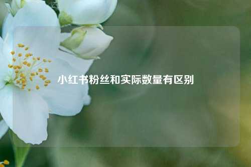 小红书粉丝和实际数量有区别  第1张
