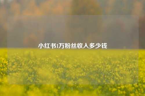 小红书1万粉丝收入多少钱  第1张