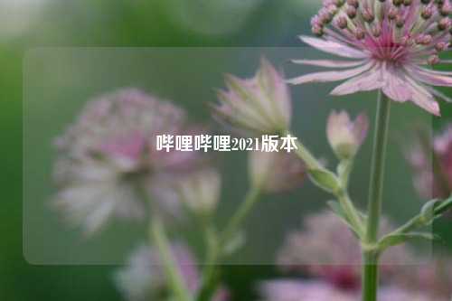 哔哩哔哩2021版本  第1张
