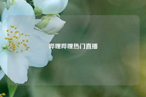 哔哩哔哩热门直播  第1张