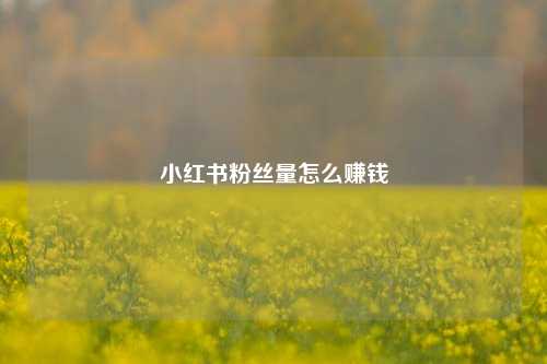 小红书粉丝量怎么赚钱  第1张