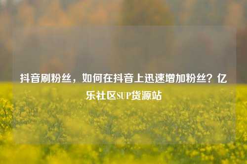 抖音刷粉丝，如何在抖音上迅速增加粉丝？亿乐社区SUP货源站  第1张