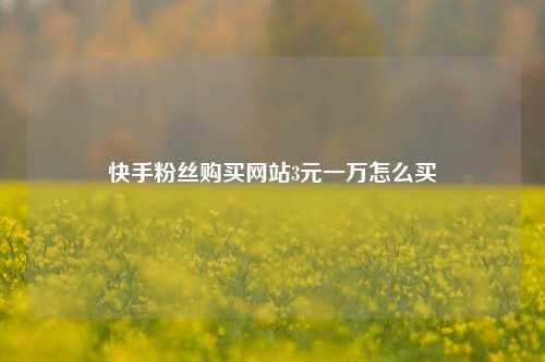 快手粉丝购买网站3元一万怎么买  第1张