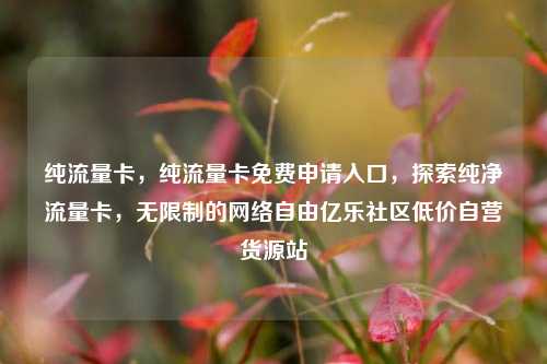 纯流量卡	，纯流量卡免费申请入口，探索纯净流量卡，无限制的网络自由亿乐社区低价自营货源站  第1张