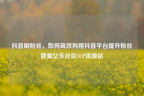 抖音刷粉丝，如何高效利用抖音平台提升粉丝数量亿乐社区SUP货源站  第1张