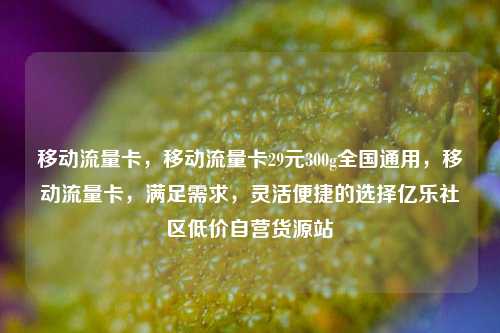 移动流量卡	，移动流量卡29元300g全国通用，移动流量卡，满足需求	，灵活便捷的选择亿乐社区低价自营货源站  第1张