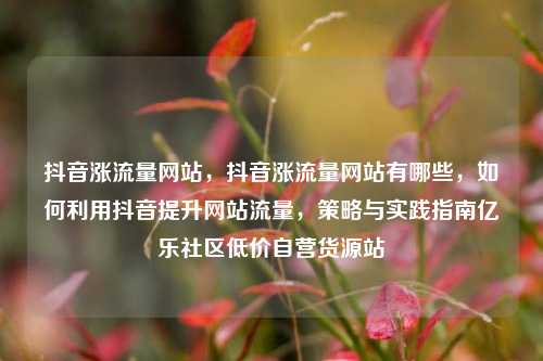 抖音涨流量网站，抖音涨流量网站有哪些，如何利用抖音提升网站流量	，策略与实践指南亿乐社区低价自营货源站  第1张