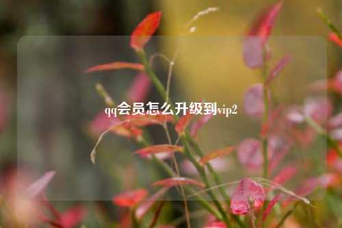qq会员怎么升级到vip2  第1张