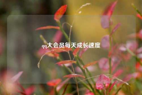 qq大会员每天成长速度  第1张