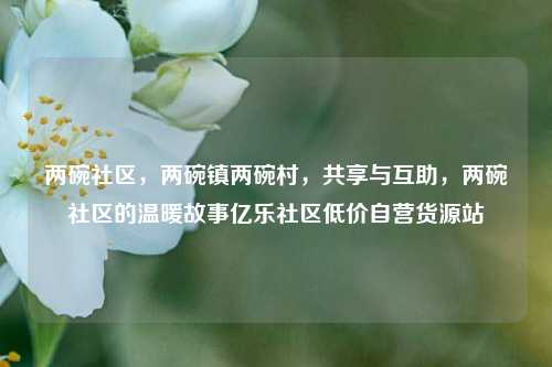 两碗社区，两碗镇两碗村，共享与互助	，两碗社区的温暖故事亿乐社区低价自营货源站  第1张