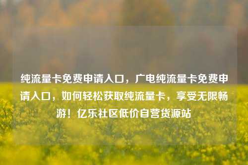 纯流量卡免费申请入口	，广电纯流量卡免费申请入口，如何轻松获取纯流量卡，享受无限畅游！亿乐社区低价自营货源站  第1张