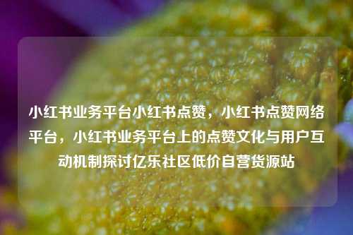 小红书业务平台小红书点赞，小红书点赞网络平台，小红书业务平台上的点赞文化与用户互动机制探讨亿乐社区低价自营货源站  第1张