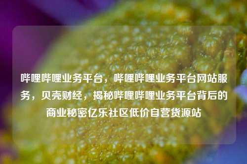 哔哩哔哩业务平台，哔哩哔哩业务平台网站服务，贝壳财经	，揭秘哔哩哔哩业务平台背后的商业秘密亿乐社区低价自营货源站  第1张