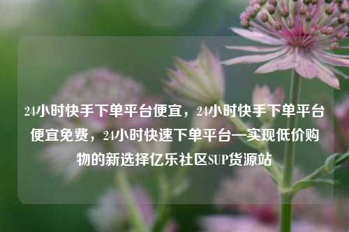 24小时快手下单平台便宜，24小时快手下单平台便宜免费	，24小时快速下单平台—实现低价购物的新选择亿乐社区SUP货源站  第1张