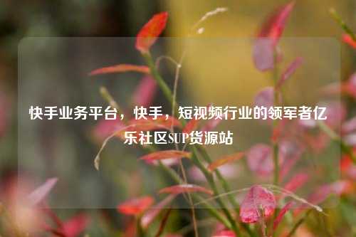 快手业务平台，快手，短视频行业的领军者亿乐社区SUP货源站  第1张