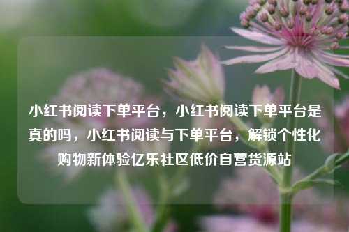 小红书阅读下单平台，小红书阅读下单平台是真的吗，小红书阅读与下单平台	，解锁个性化购物新体验亿乐社区低价自营货源站  第1张