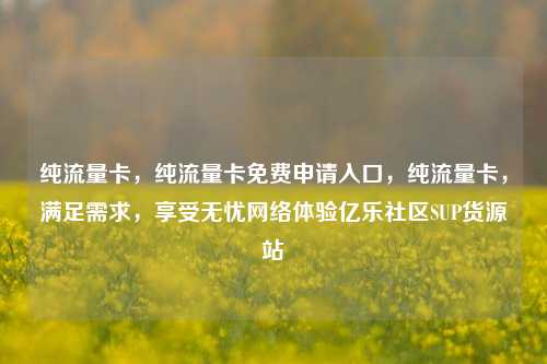 纯流量卡，纯流量卡免费申请入口	，纯流量卡，满足需求，享受无忧网络体验亿乐社区SUP货源站  第1张