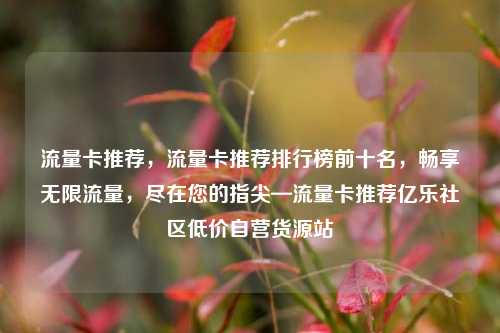 流量卡推荐，流量卡推荐排行榜前十名	，畅享无限流量，尽在您的指尖—流量卡推荐亿乐社区低价自营货源站  第1张