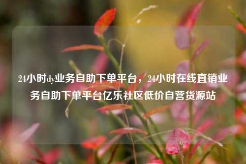 24小时dy业务自助下单平台	，24小时在线直销业务自助下单平台亿乐社区低价自营货源站  第1张