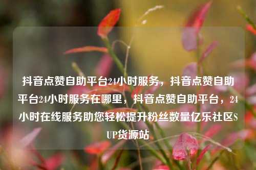 抖音点赞自助平台24小时服务，抖音点赞自助平台24小时服务在哪里	，抖音点赞自助平台，24小时在线服务助您轻松提升粉丝数量亿乐社区SUP货源站  第1张