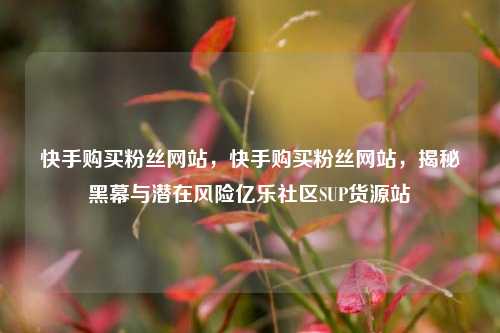 快手购买粉丝网站，快手购买粉丝网站	，揭秘黑幕与潜在风险亿乐社区SUP货源站  第1张