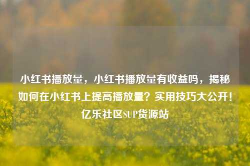 小红书播放量	，小红书播放量有收益吗，揭秘如何在小红书上提高播放量？实用技巧大公开！亿乐社区SUP货源站  第1张
