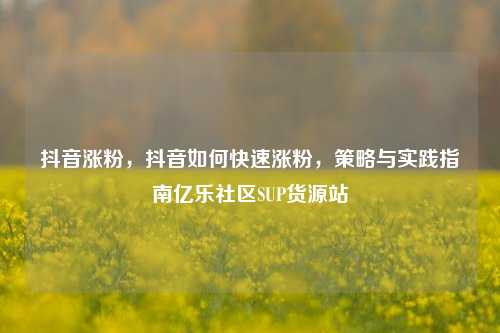 抖音涨粉，抖音如何快速涨粉，策略与实践指南亿乐社区SUP货源站  第1张