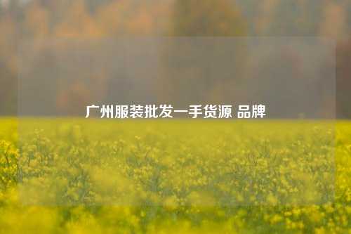 广州服装批发一手货源 品牌  第1张