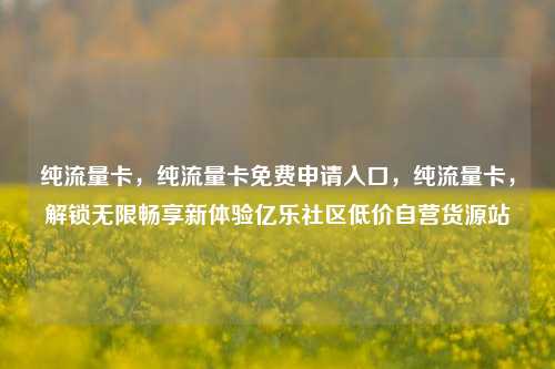 纯流量卡，纯流量卡免费申请入口	，纯流量卡，解锁无限畅享新体验亿乐社区低价自营货源站  第1张