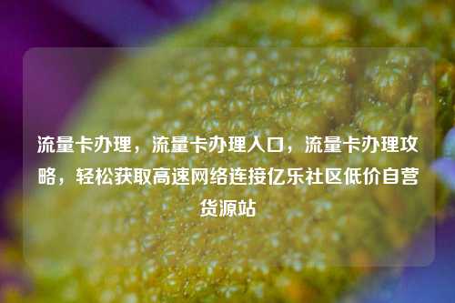 流量卡办理，流量卡办理入口，流量卡办理攻略	，轻松获取高速网络连接亿乐社区低价自营货源站  第1张