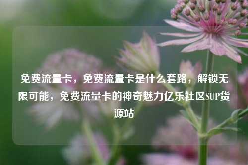 免费流量卡	，免费流量卡是什么套路，解锁无限可能，免费流量卡的神奇魅力亿乐社区SUP货源站  第1张