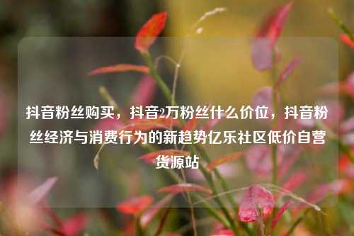 抖音粉丝购买	，抖音2万粉丝什么价位，抖音粉丝经济与消费行为的新趋势亿乐社区低价自营货源站  第1张