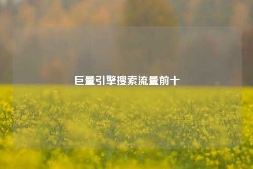 巨量引擎搜索流量前十  第1张